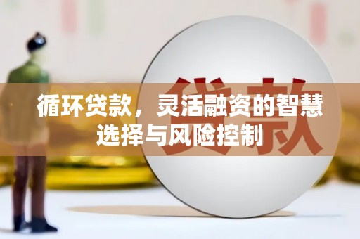 鹤庆循环贷款，灵活融资的智慧选择与风险控制