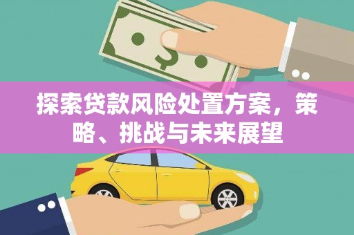 鹤庆探索贷款风险处置方案，策略、挑战与未来展望