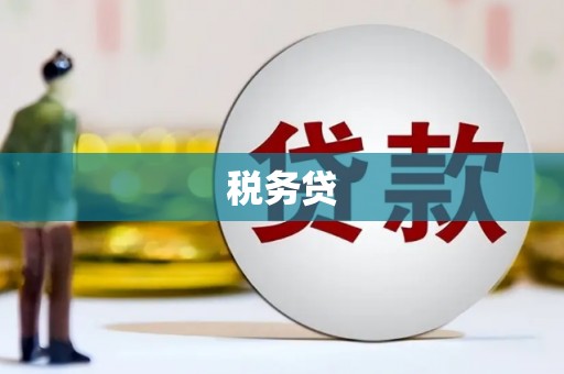 鹤庆税务贷