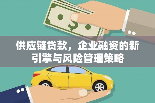 鹤庆供应链贷款，企业融资的新引擎与风险管理策略
