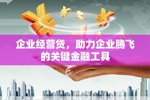 鹤庆企业经营贷，助力企业腾飞的关键金融工具