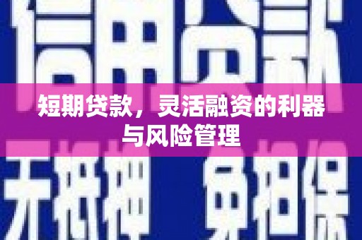 鹤庆短期贷款，灵活融资的利器与风险管理
