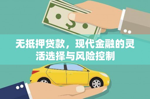 鹤庆无抵押贷款，现代金融的灵活选择与风险控制
