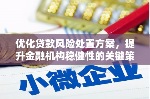 鹤庆优化贷款风险处置方案，提升金融机构稳健性的关键策略