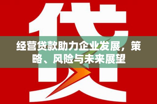 鹤庆经营贷款助力企业发展，策略、风险与未来展望