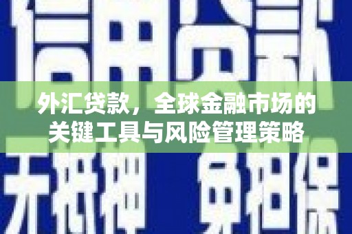 鹤庆外汇贷款，全球金融市场的关键工具与风险管理策略