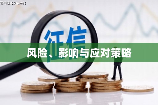 鹤庆风险、影响与应对策略