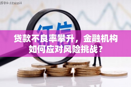 鹤庆贷款不良率攀升，金融机构如何应对风险挑战？
