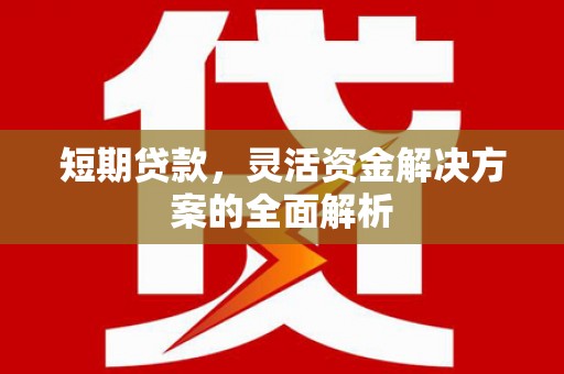鹤庆短期贷款，灵活资金解决方案的全面解析