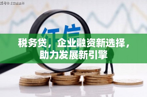 鹤庆税务贷，企业融资新选择，助力发展新引擎