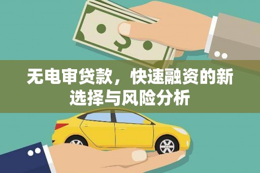 鹤庆无电审贷款，快速融资的新选择与风险分析