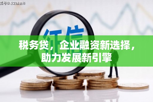 鹤庆税务贷，企业融资新选择，助力发展新引擎