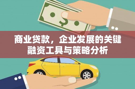 鹤庆商业贷款，企业发展的关键融资工具与策略分析