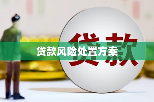 鹤庆贷款风险处置方案