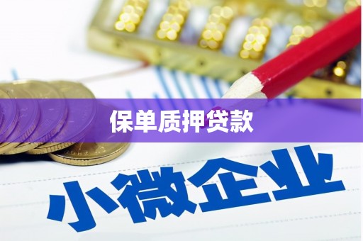 鹤庆保单质押贷款