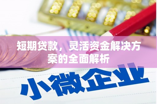 鹤庆短期贷款，灵活资金解决方案的全面解析