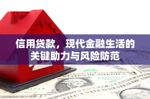 鹤庆信用贷款，现代金融生活的关键助力与风险防范