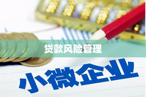 鹤庆贷款风险管理