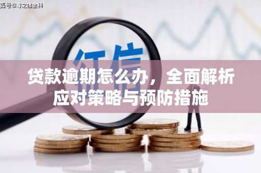 鹤庆贷款逾期怎么办，全面解析应对策略与预防措施