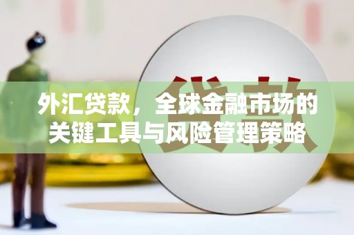 鹤庆外汇贷款，全球金融市场的关键工具与风险管理策略