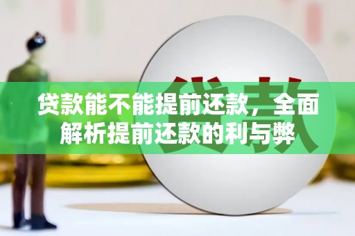 鹤庆贷款能不能提前还款，全面解析提前还款的利与弊