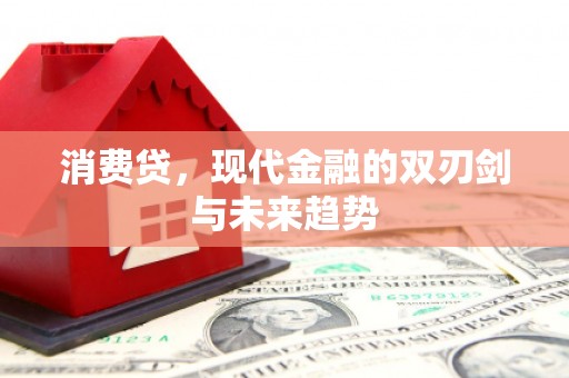 鹤庆消费贷，现代金融的双刃剑与未来趋势