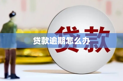 鹤庆贷款逾期怎么办
