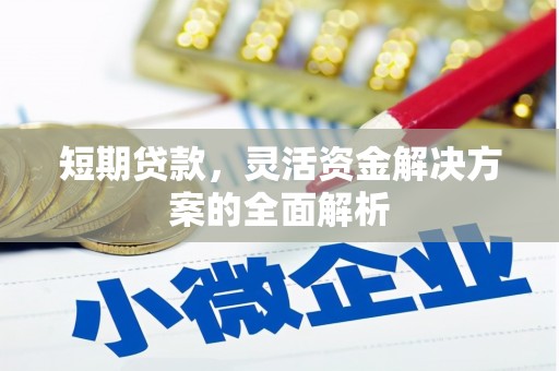 鹤庆短期贷款，灵活资金解决方案的全面解析