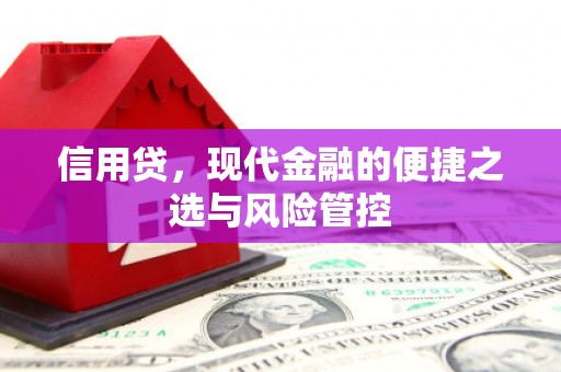 鹤庆信用贷，现代金融的便捷之选与风险管控