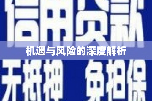鹤庆机遇与风险的深度解析
