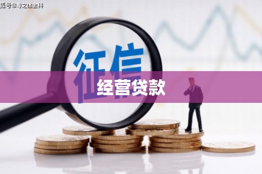 鹤庆经营贷款