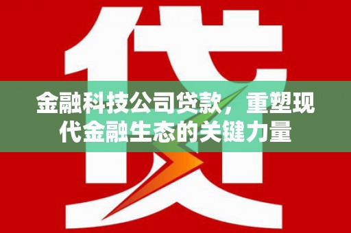 鹤庆金融科技公司贷款，重塑现代金融生态的关键力量