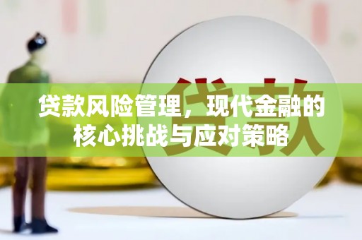 鹤庆贷款风险管理，现代金融的核心挑战与应对策略