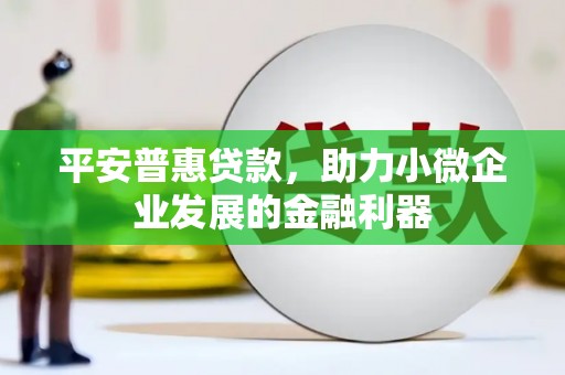 鹤庆平安普惠贷款，助力小微企业发展的金融利器