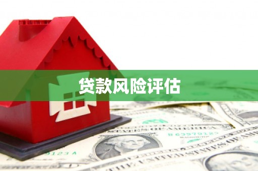鹤庆贷款风险评估