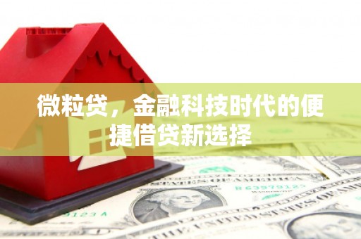 鹤庆微粒贷，金融科技时代的便捷借贷新选择