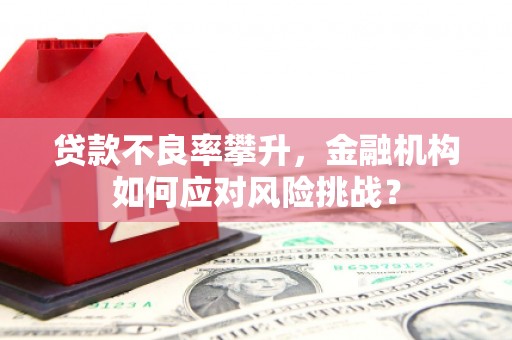 鹤庆贷款不良率攀升，金融机构如何应对风险挑战？