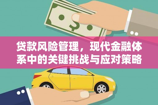 鹤庆贷款风险管理，现代金融体系中的关键挑战与应对策略
