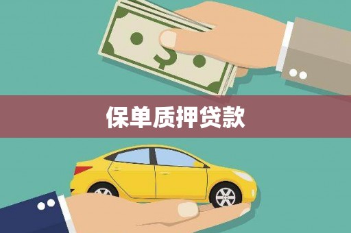 鹤庆保单质押贷款