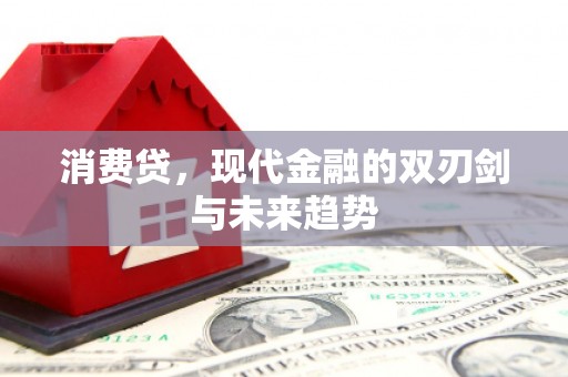 鹤庆消费贷，现代金融的双刃剑与未来趋势