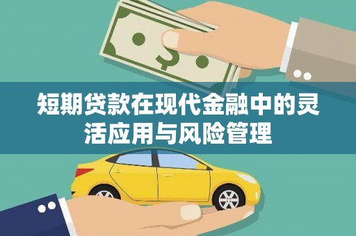 鹤庆短期贷款在现代金融中的灵活应用与风险管理