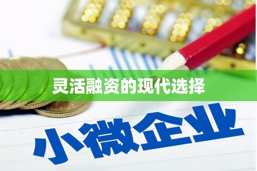鹤庆灵活融资的现代选择