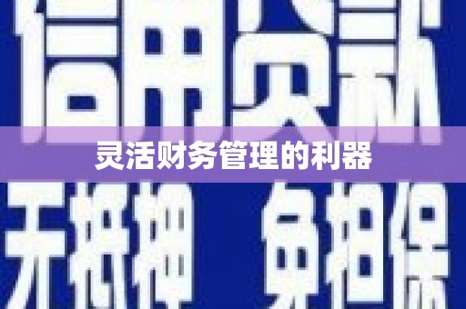 鹤庆灵活财务管理的利器