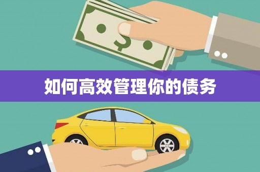 鹤庆如何高效管理你的债务