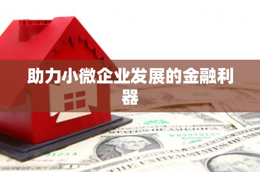 鹤庆助力小微企业发展的金融利器