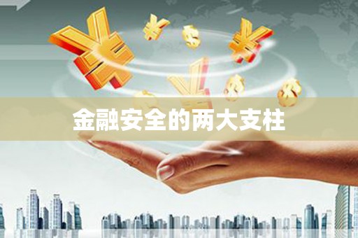 鹤庆金融安全的两大支柱