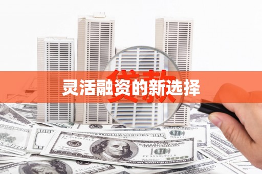 鹤庆灵活融资的新选择