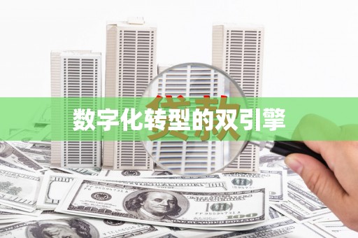 鹤庆数字化转型的双引擎