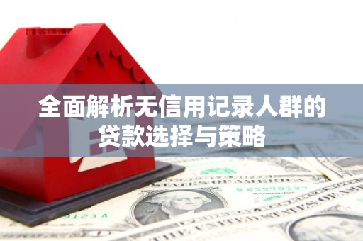 鹤庆全面解析无信用记录人群的贷款选择与策略