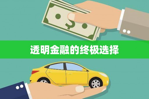 鹤庆透明金融的终极选择